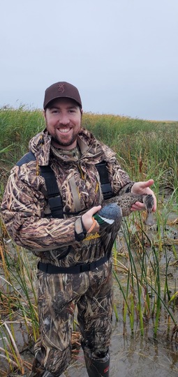 Shoveler Duck