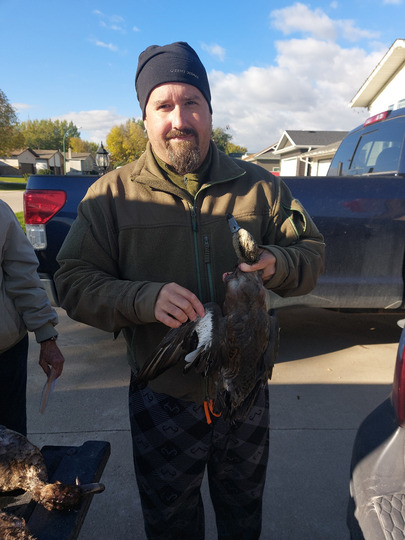 American Widgeon Duck