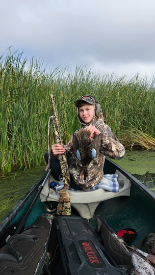 Blue Winged Teal Duck