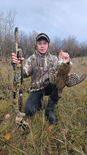 Sharptail Grouse