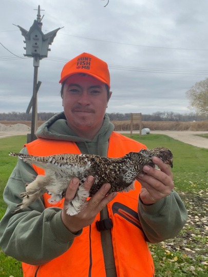 Sharptail Grouse