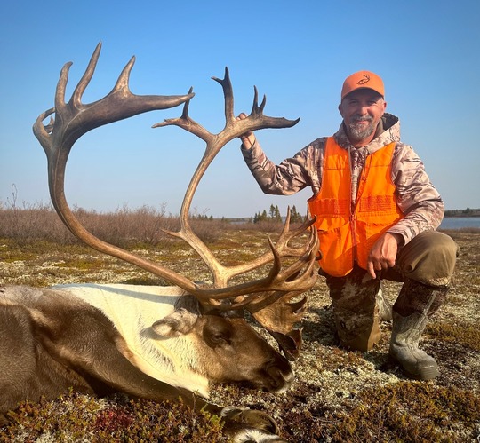 Caribou