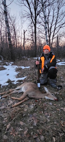 White-tailed Deer