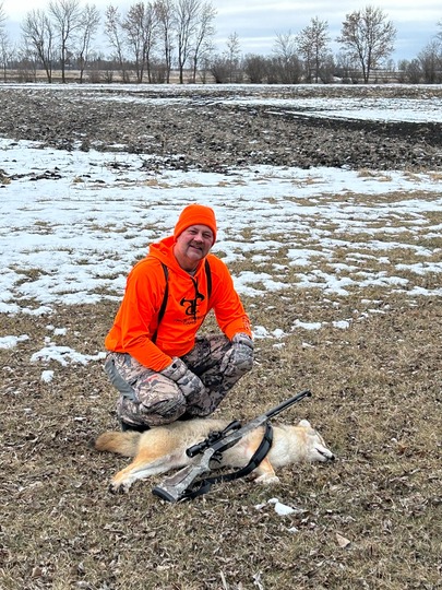 Coyote