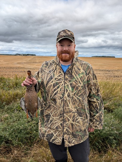 Shoveler Duck