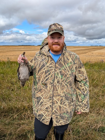 Blue Winged Teal Duck