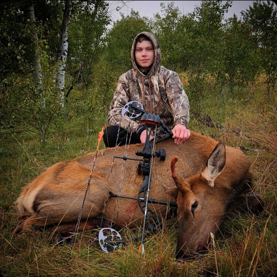 Elk