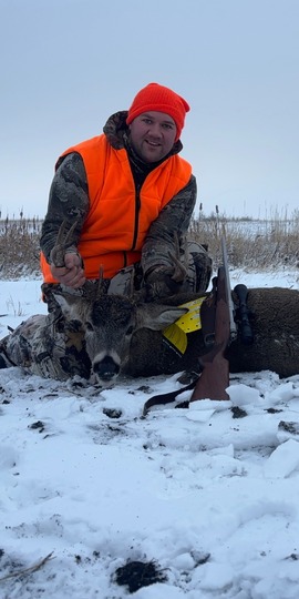 White-tailed Deer